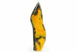 Bargain, Free-Standing Polished Bumblebee Jasper #312079-1